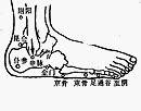 崑崙穴|醫砭 » 經穴庫 » 崑崙